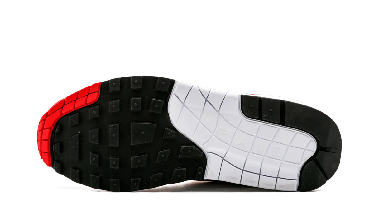 eco - friendly shoes Air Max 1 Anniversary "Anniversary"
