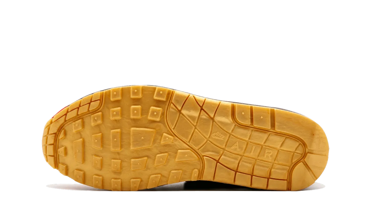 Air Max 1 Master "Master" running in a lagoon area shoes