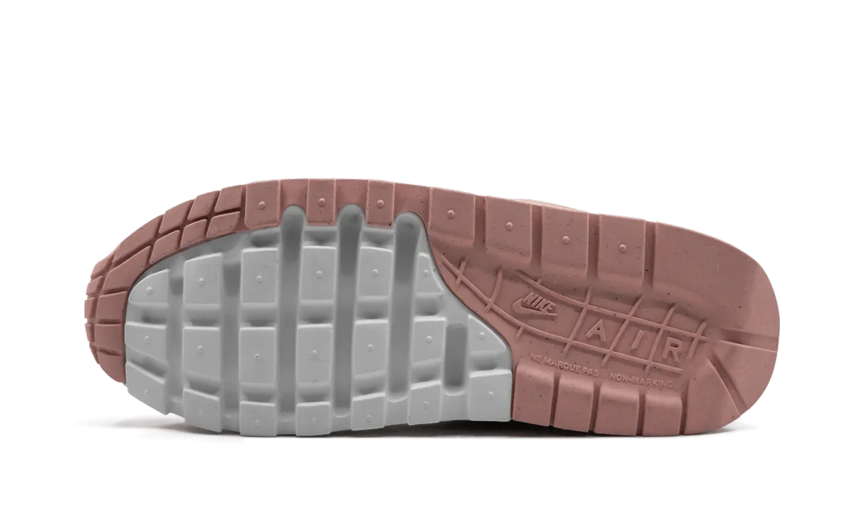 Air Max 1 NK Day (GS) "Have A Nike Day" biomechanical shoes