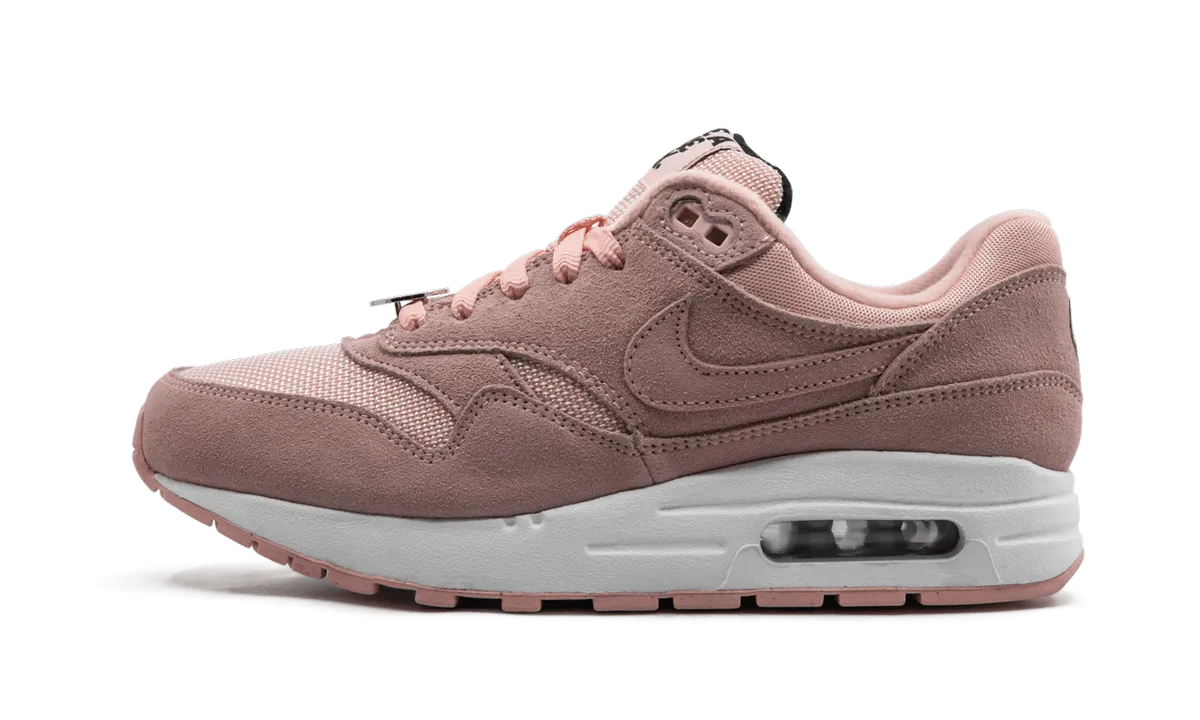 Air Max 1 NK Day (GS) "Have A Nike Day" Comfort Fit System