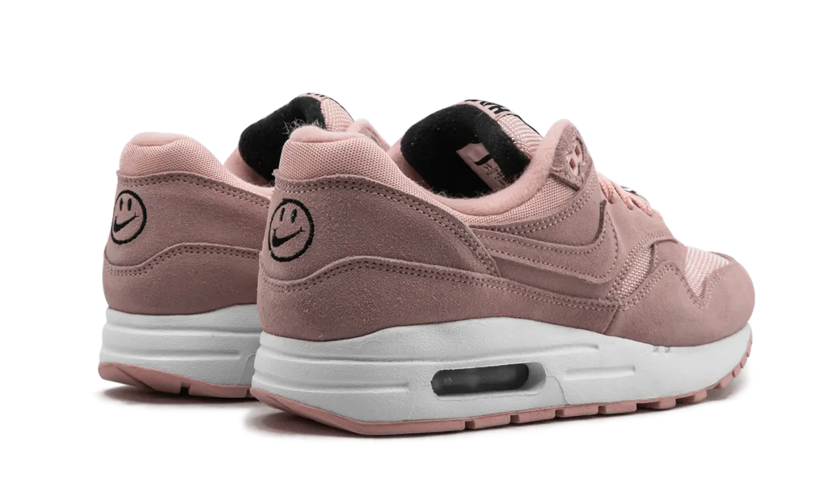 Foot Arch Fit fitness goal achievement Air Max 1 NK Day (GS) "Have A Nike Day"