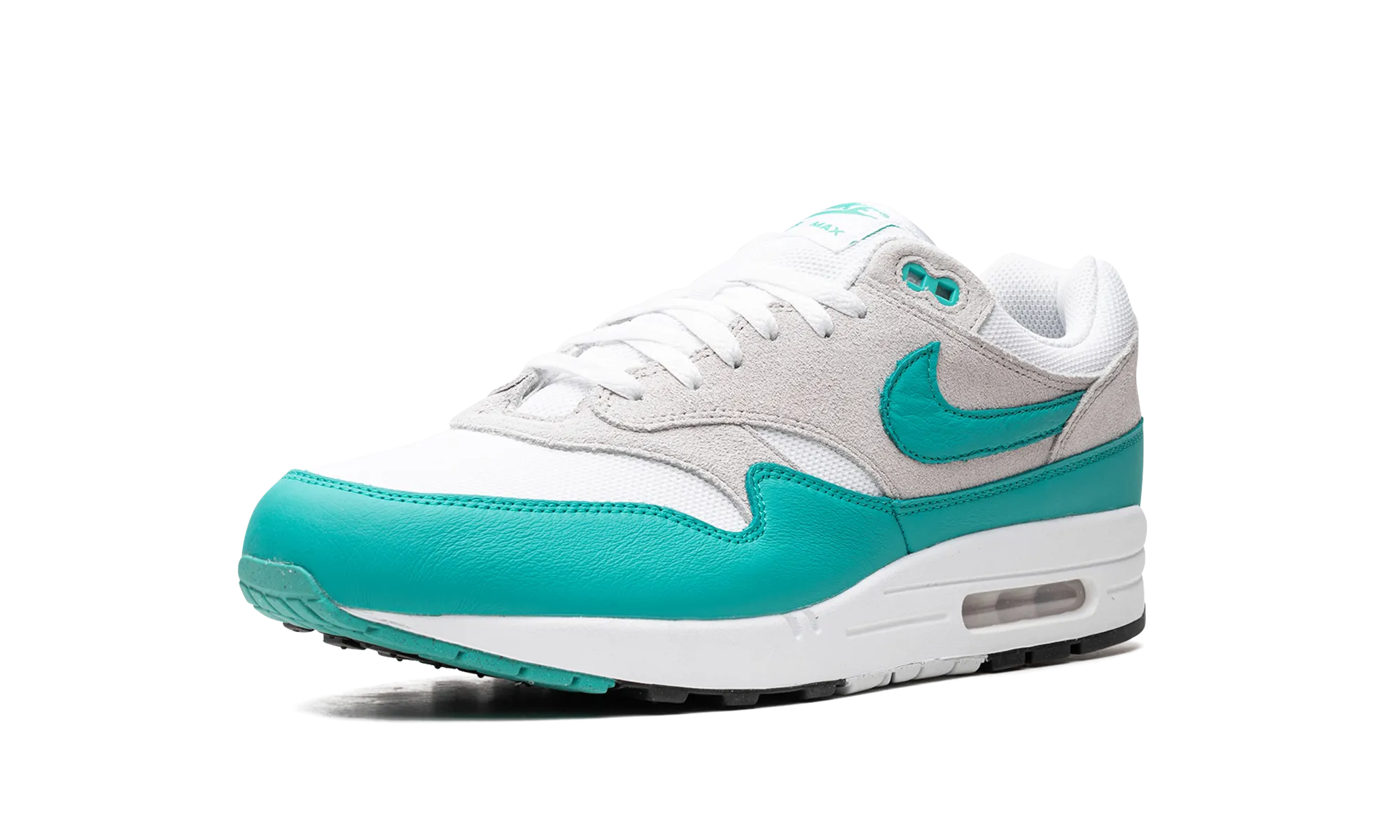running with dog shoes Air Max 1 "Aquatone"