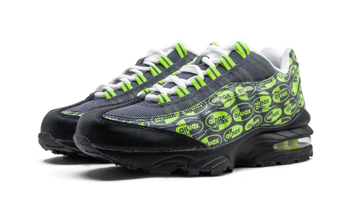 Air Max 95 SE (GS) amateur athlete shoes