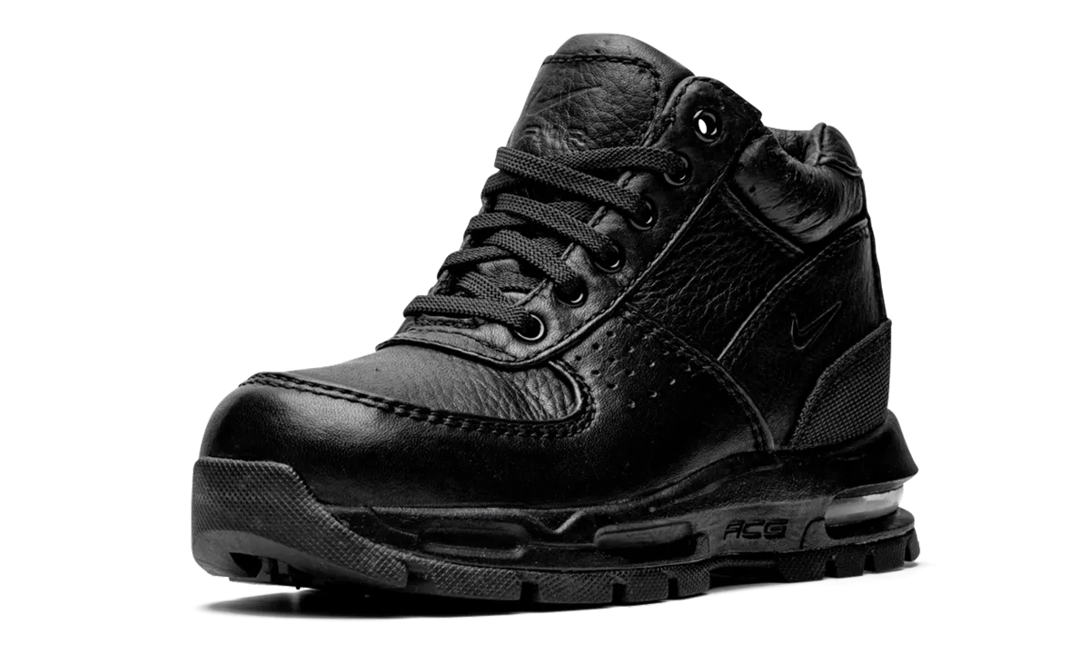 performance - enhancing shoes running in dry conditions shoes Air Max Goadome PS