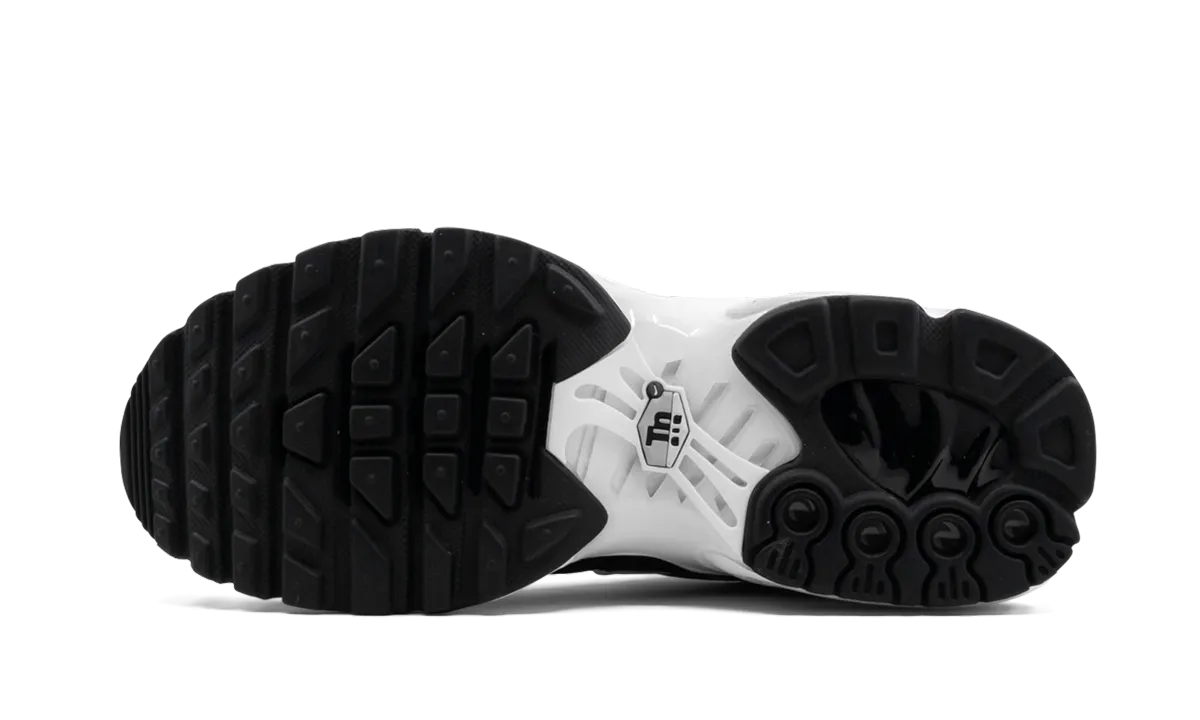 Air Max Plus GS Secure