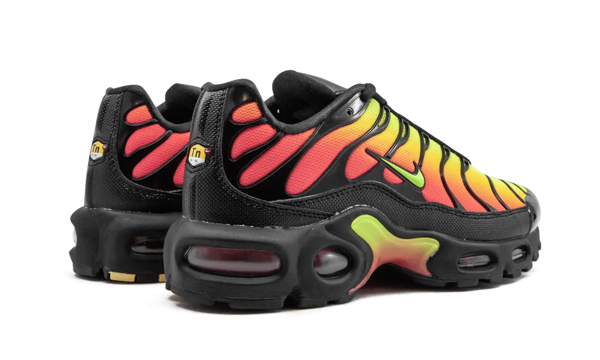 AIR MAX PLUS TN SE MNS WMNS Travel Shoes