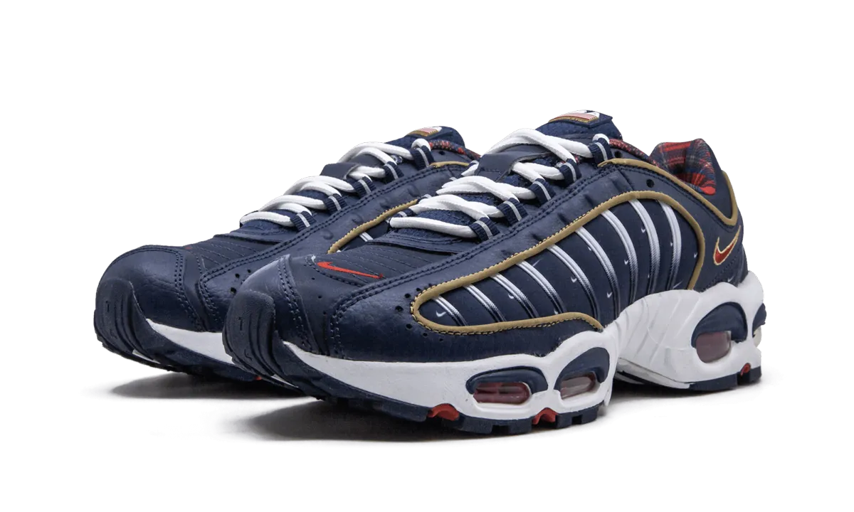 Air Max Tailwind 4 "USA" powerful - running