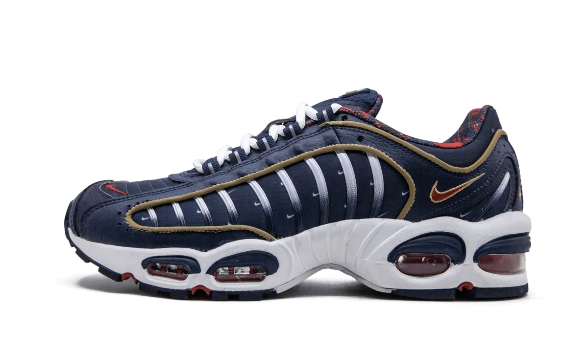 for intermediate zipper - closure shoes Air Max Tailwind 4 "USA"