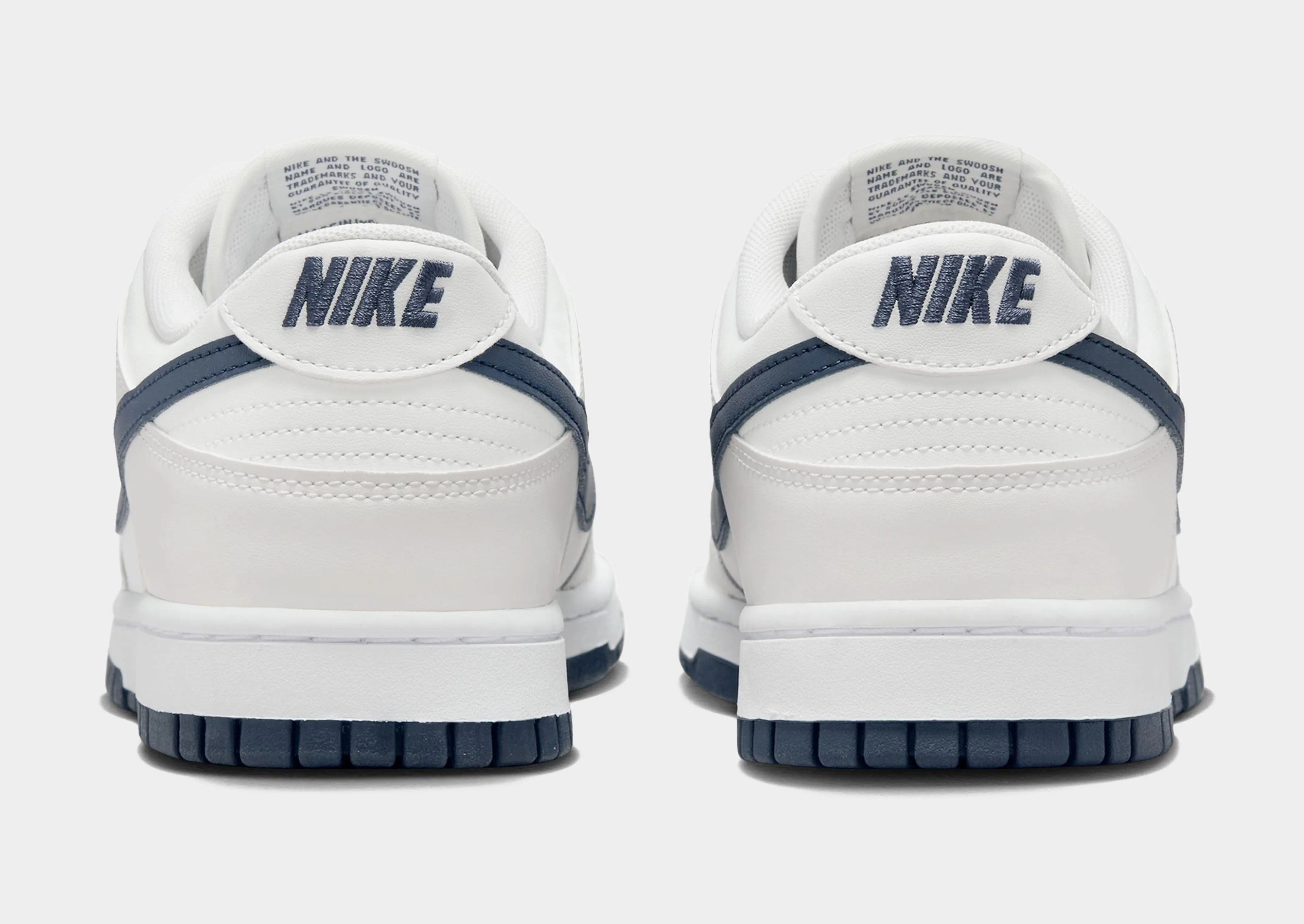 Dunk Low Retro Snow Jog