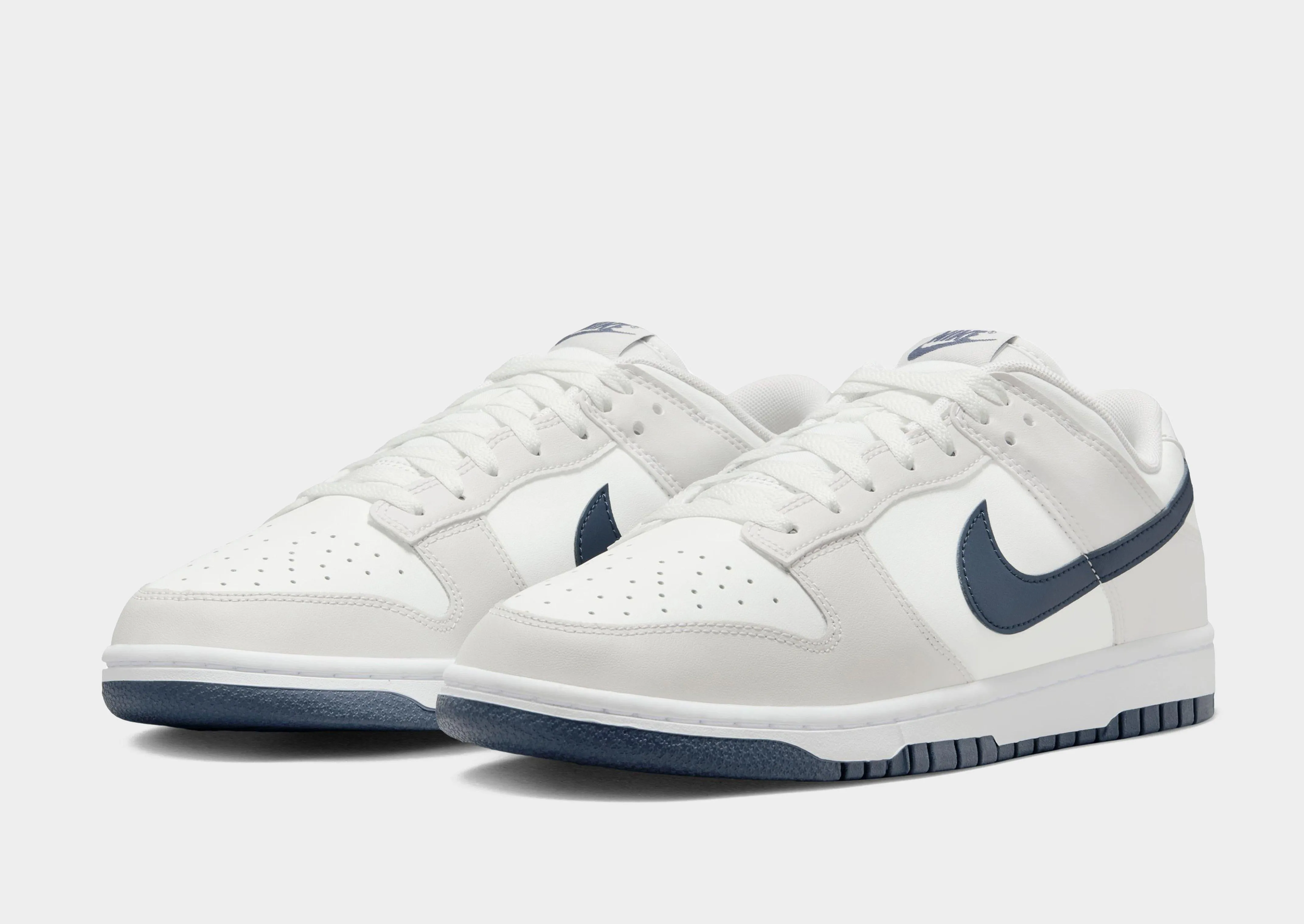 Light Activity Dunk Low Retro