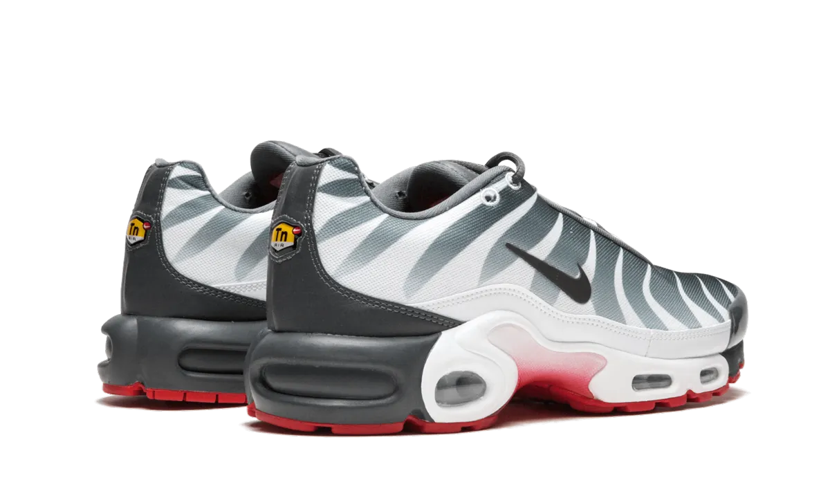 Air Max Plus TN SE Stormy Weather Running Professional - athlete