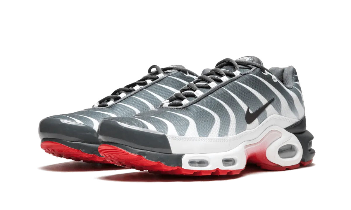 Air Max Plus TN SE lace - up - design shoes Customizable