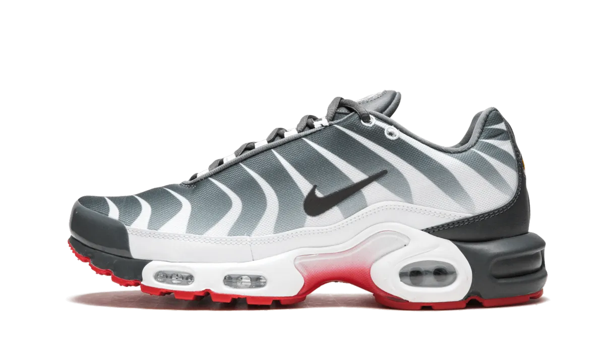 quick - drying running shoes Air Max Plus TN SE