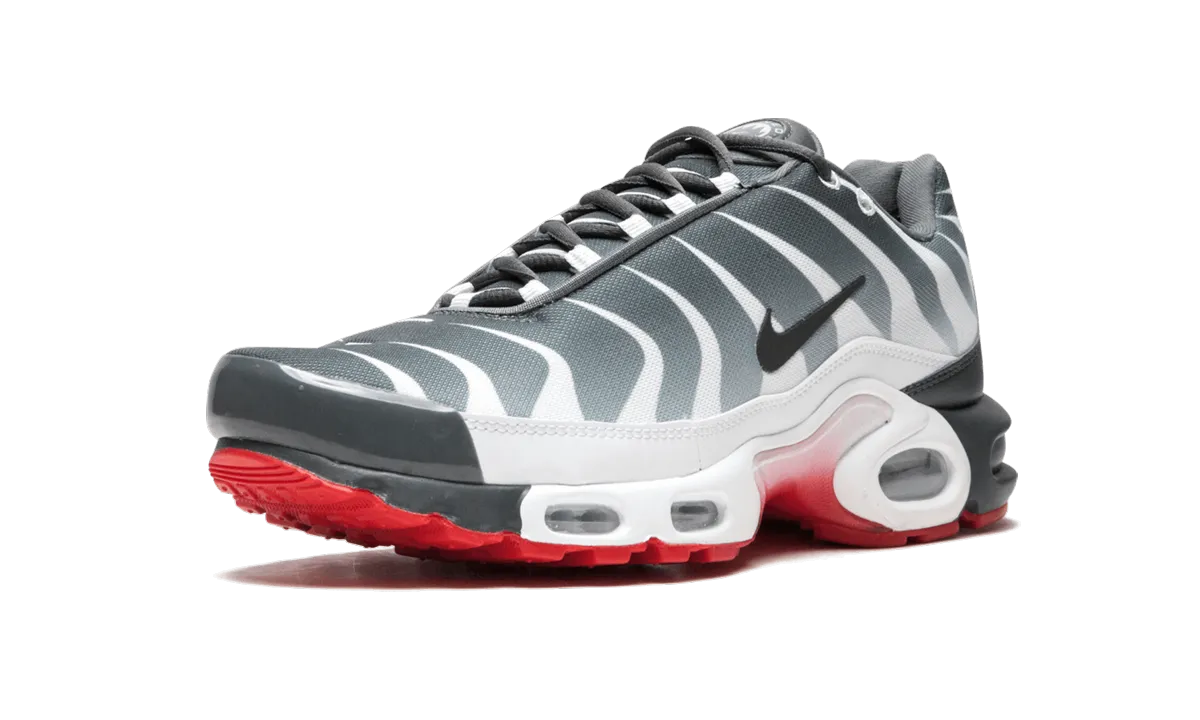 pastel shoes running endurance improvement Air Max Plus TN SE