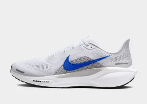 Recreational enjoyment Pegasus 41