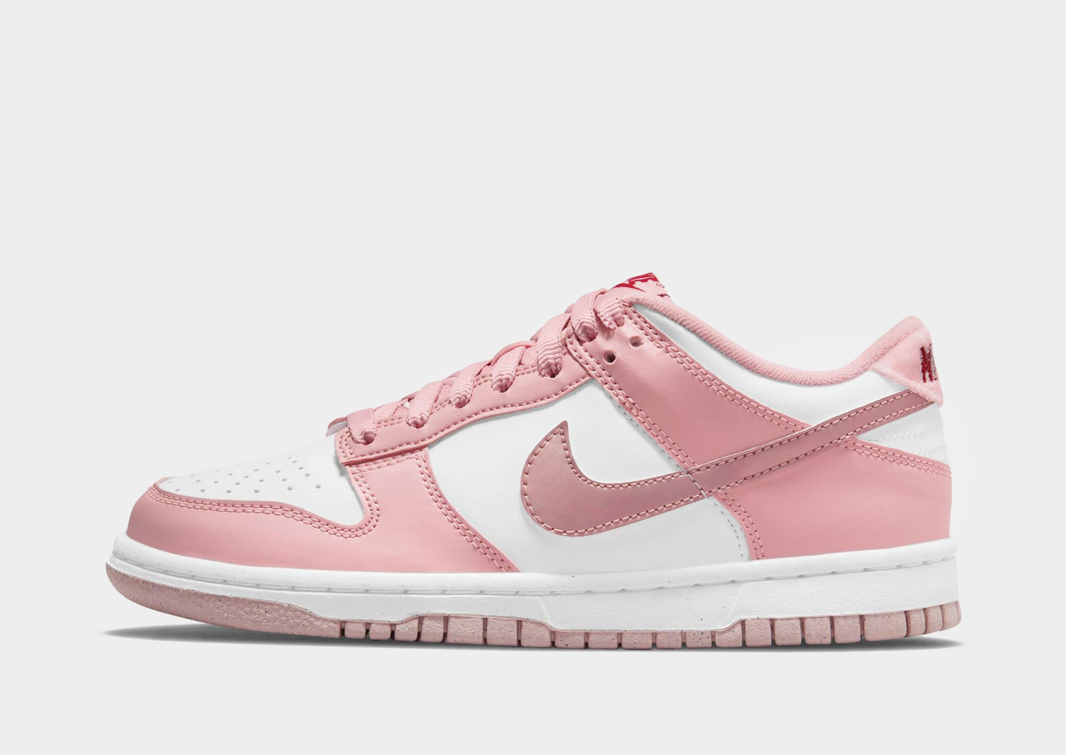 Trail Ready Dunk Low Junior's