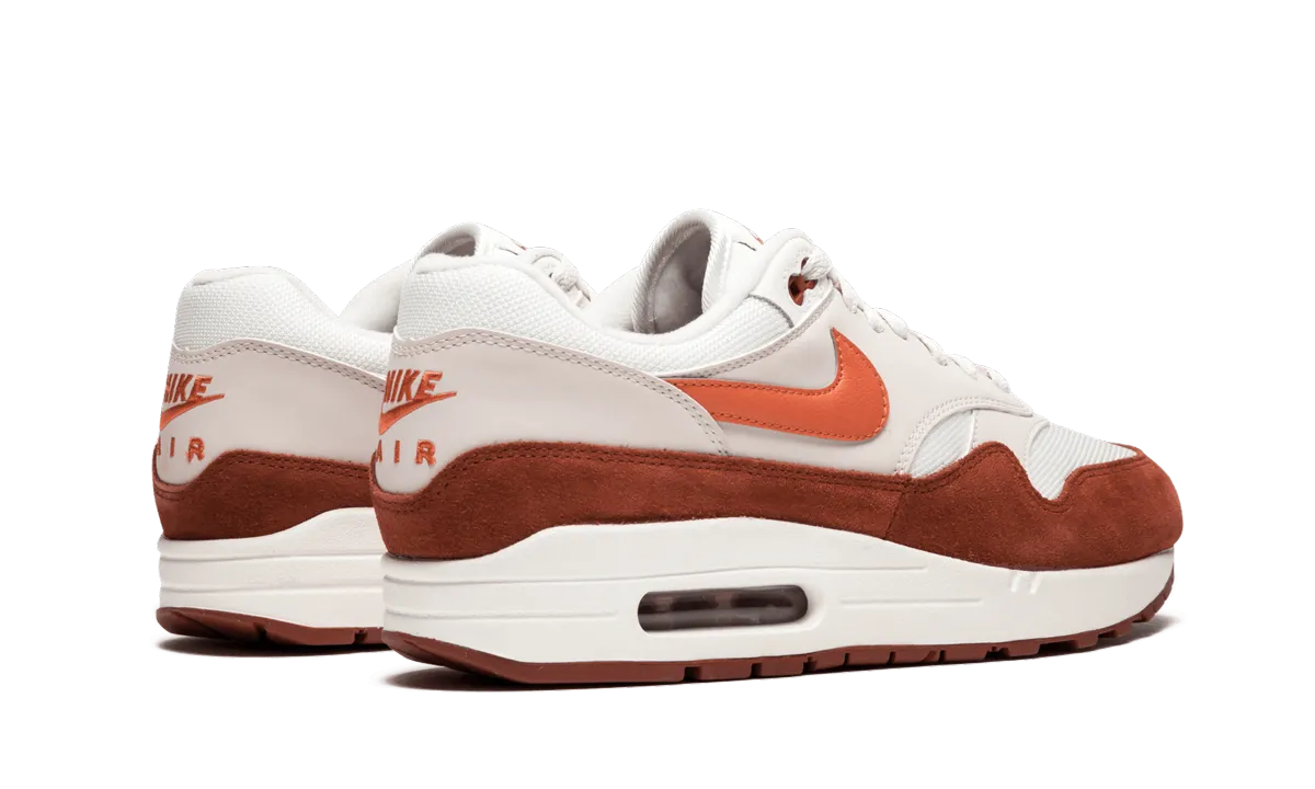 light shoes Foot Flexibility Air Max 1