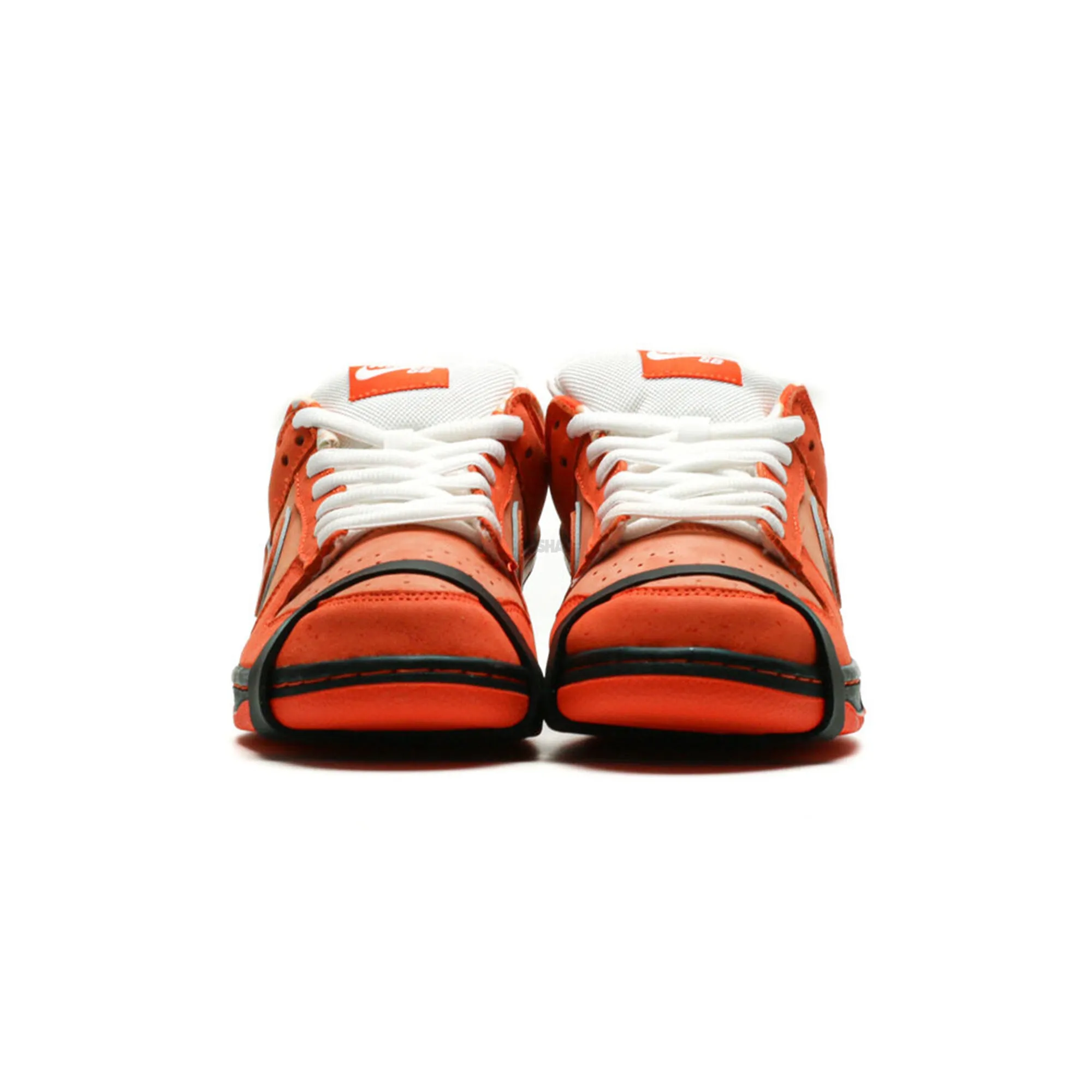 Nike SB Dunk Low x Concepts 'Orange Lobster' (2022) Smooth Wear Compression Molded Midsole