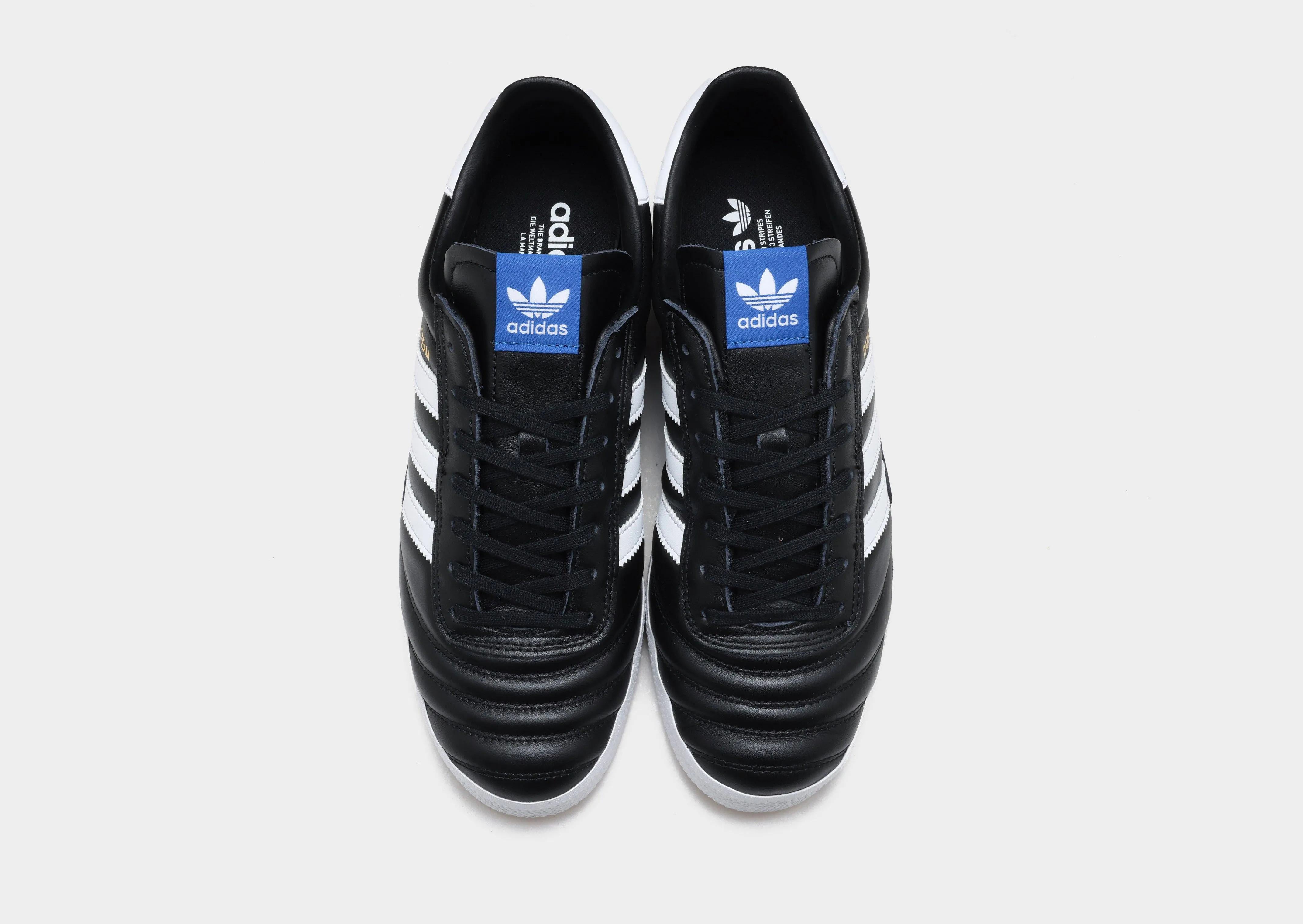 Gazelle Team Abrasion Resistant Construction