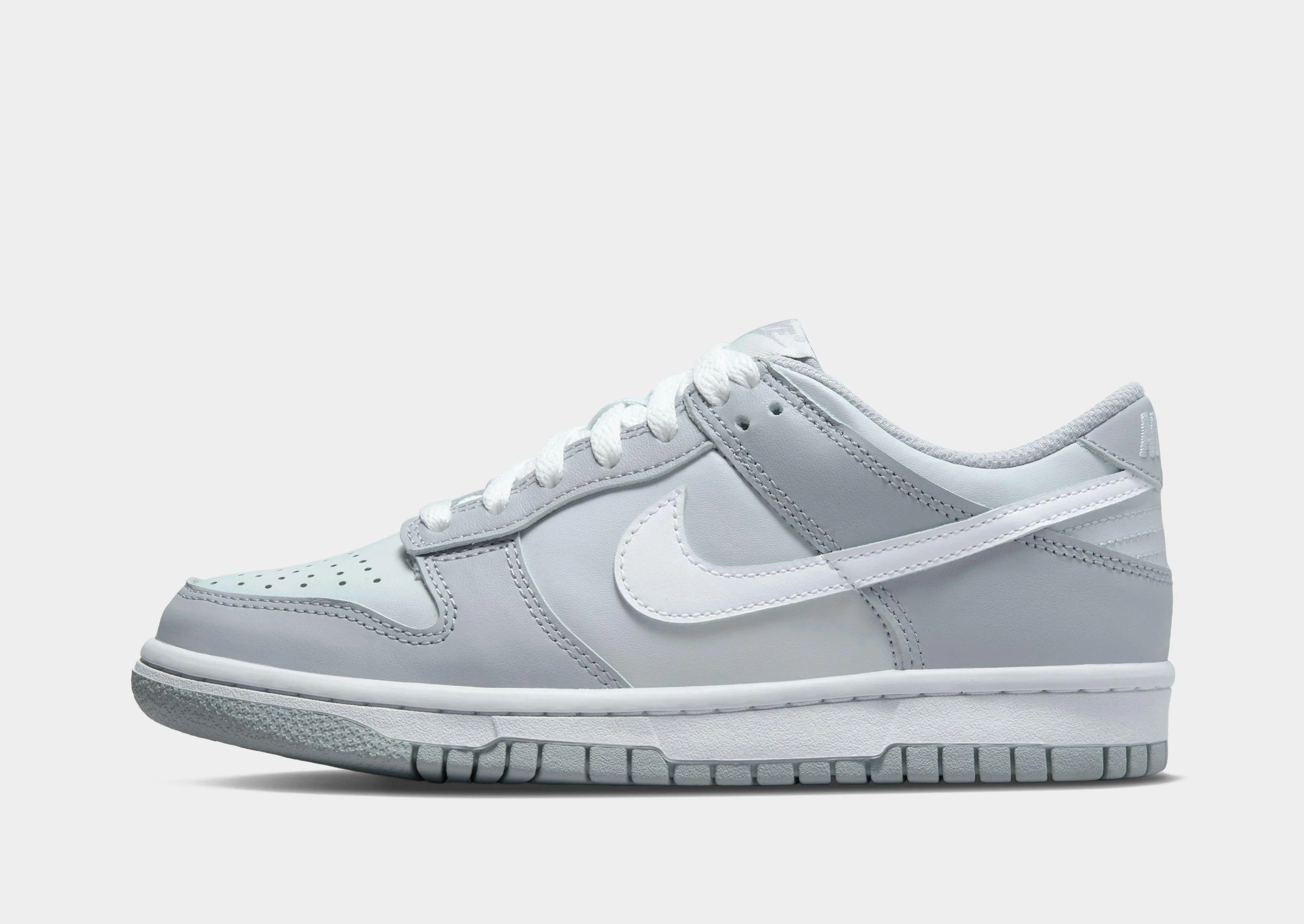 Dunk Low Junior's Synthetic On The Move Fit