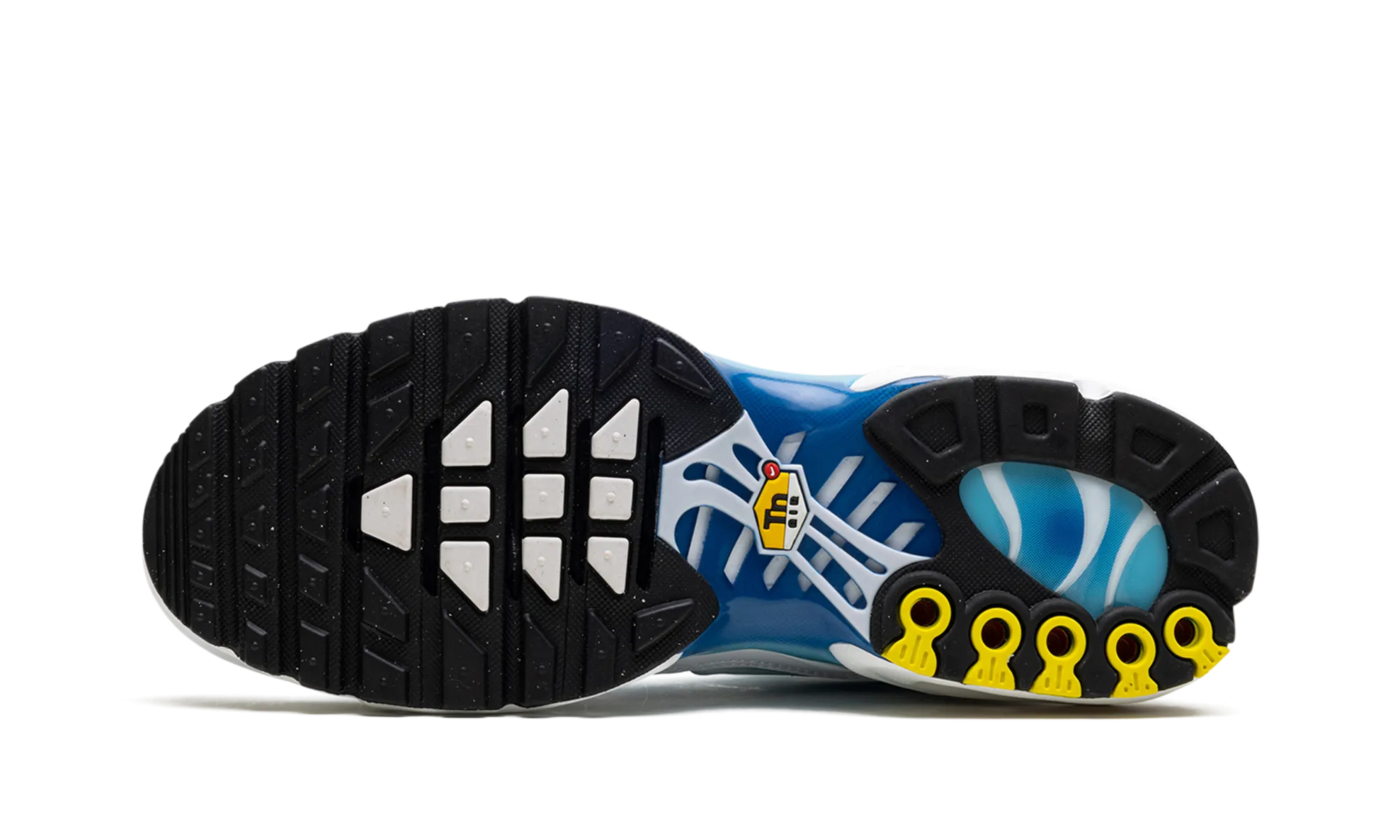 Flexible Giant pattern Air Max Plus "Blue Gaze"