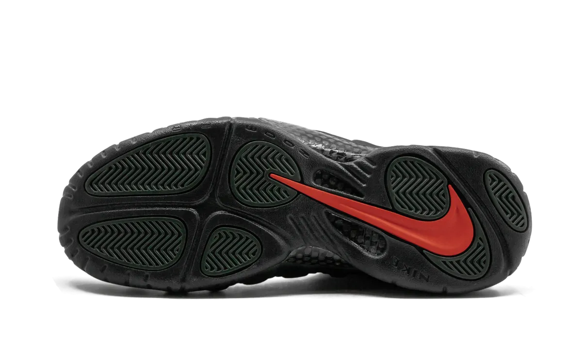 Anatomical Heel Shape High density foam Air Foamposite Pro "Sequoia"