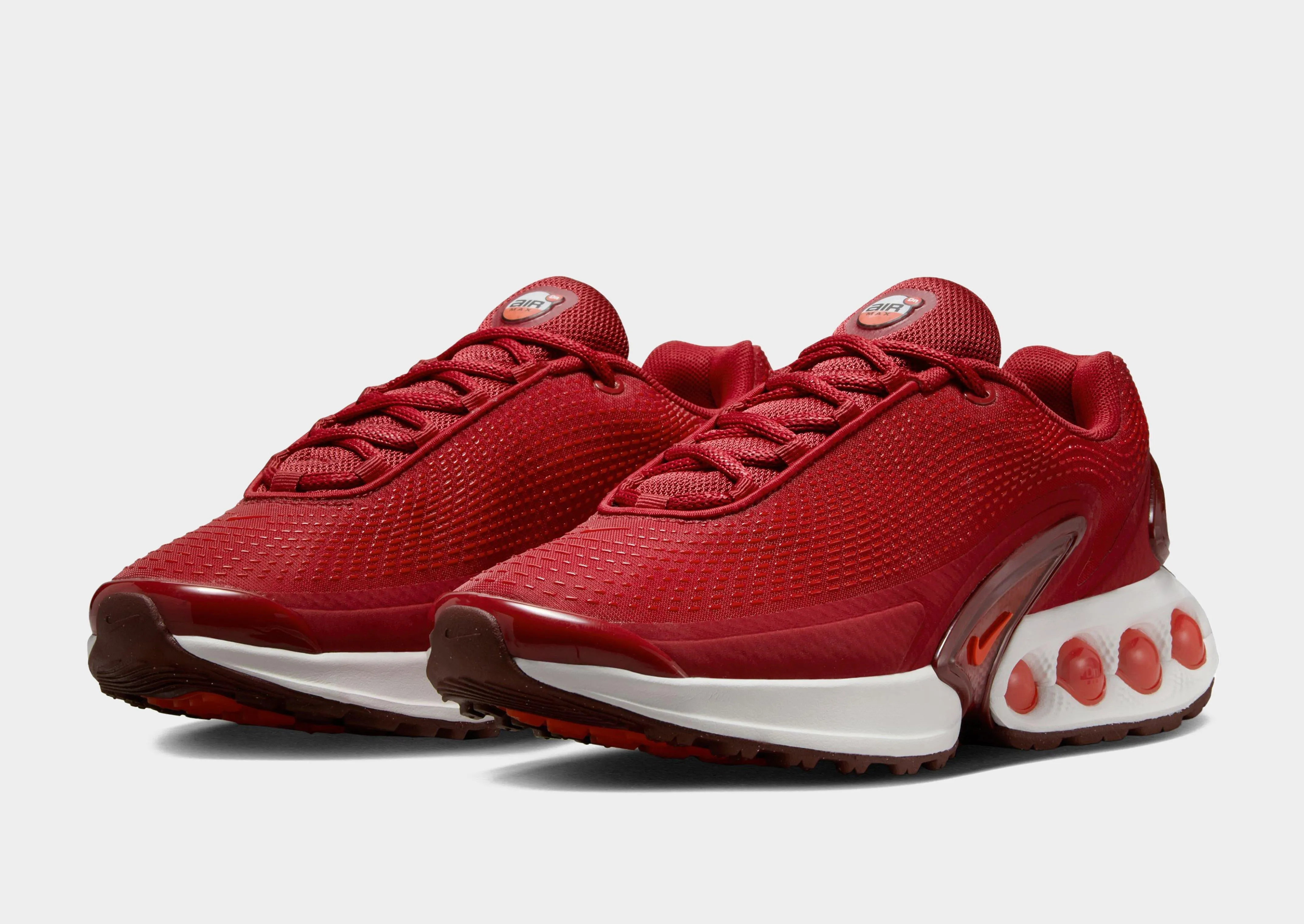 Air Max DN Women's collector's shoes