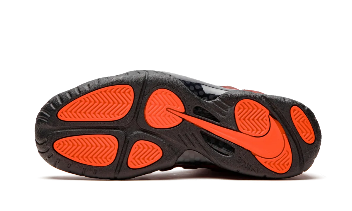 Sneaker Storage Little Posite Pro GS