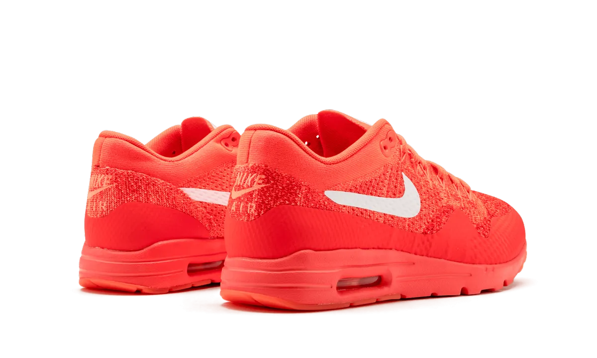 lightweight pants running in a state park shoes AIR MAX 1 ULTRA FLYKNIT WMNS