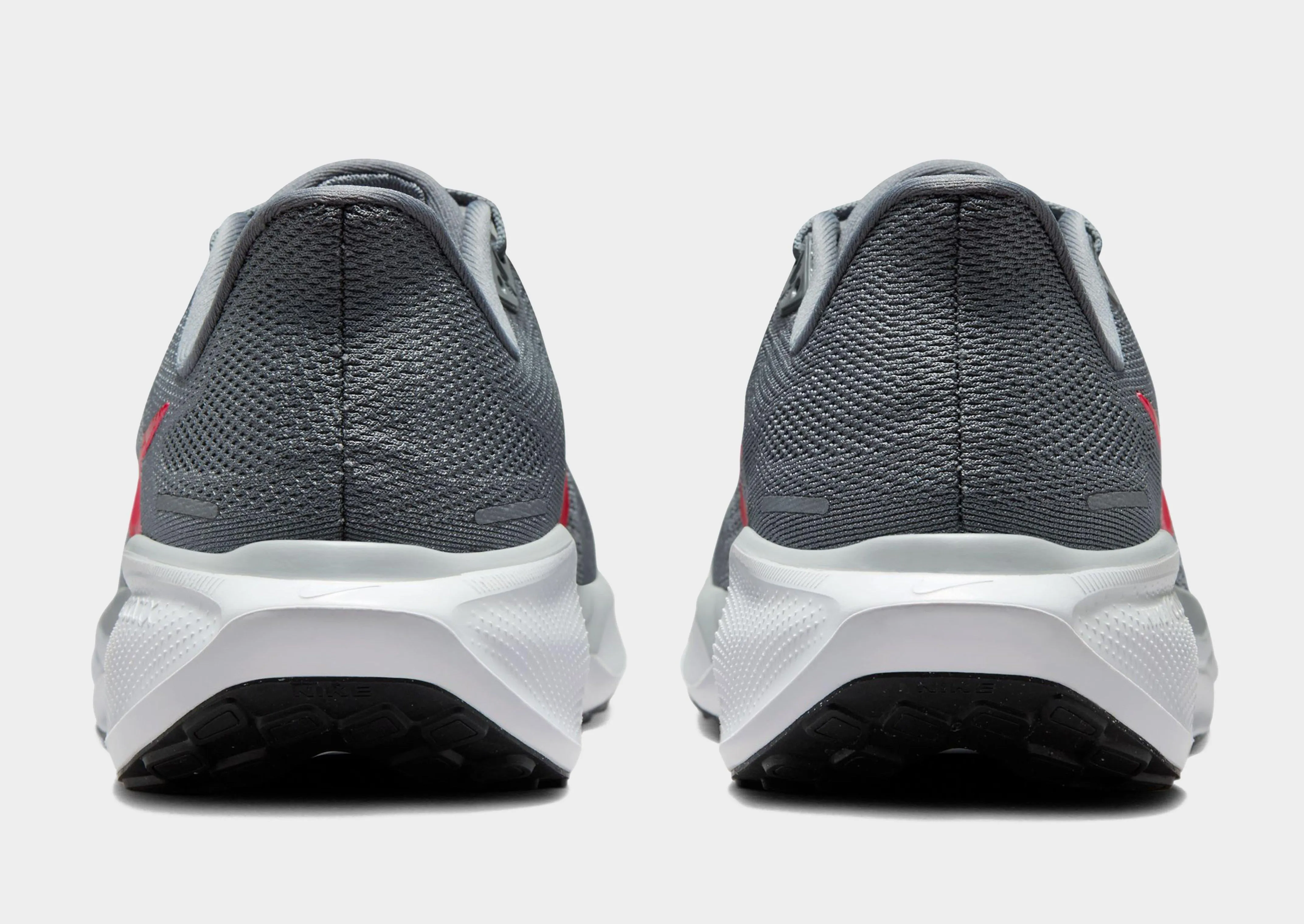 Rainy running shield Pegasus 41