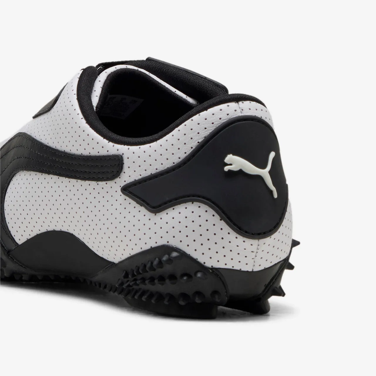 Bright Hike Modern Appeal Mostro Perf