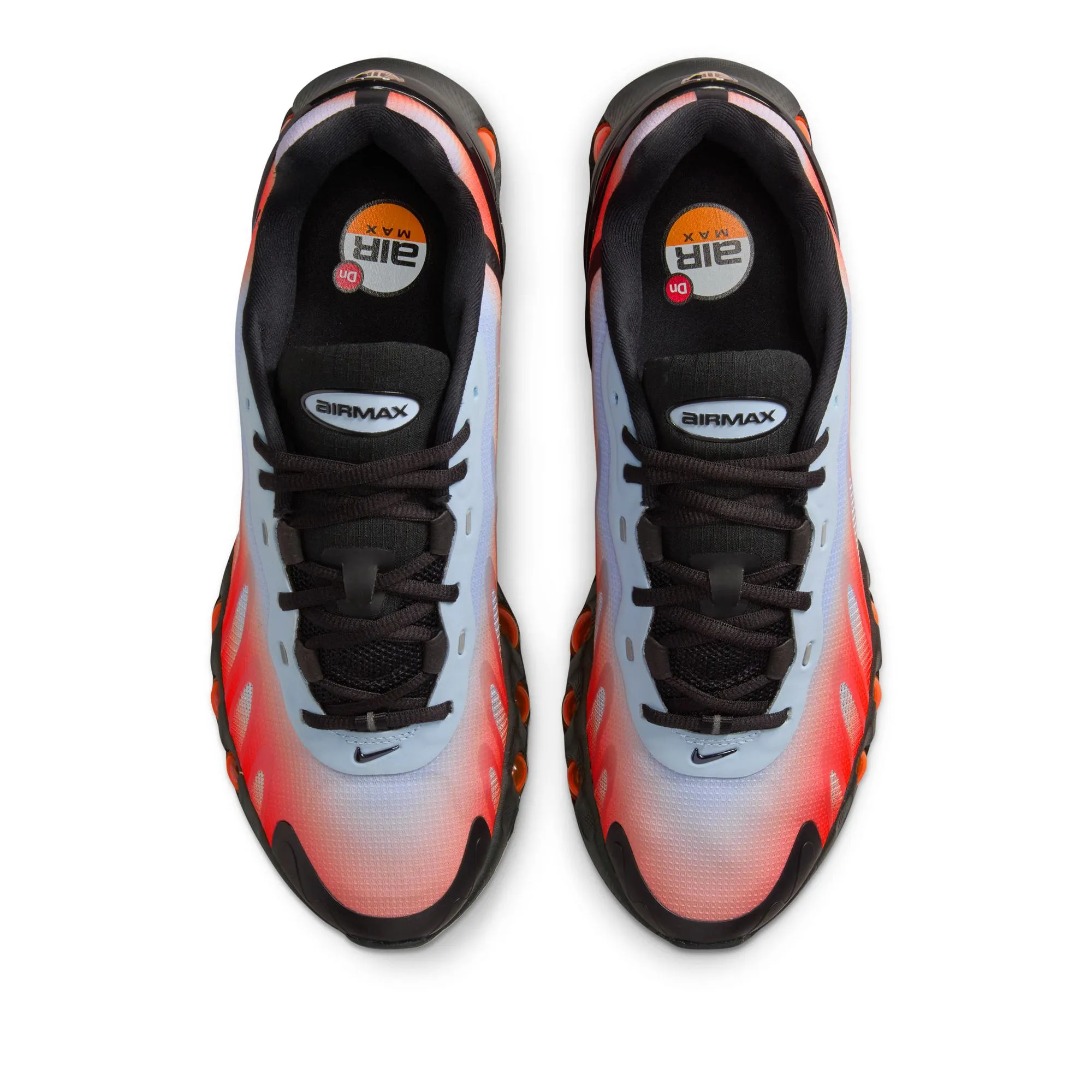 All-Weather Comfort Nike Air Max DN8 - Royal Tint/Black