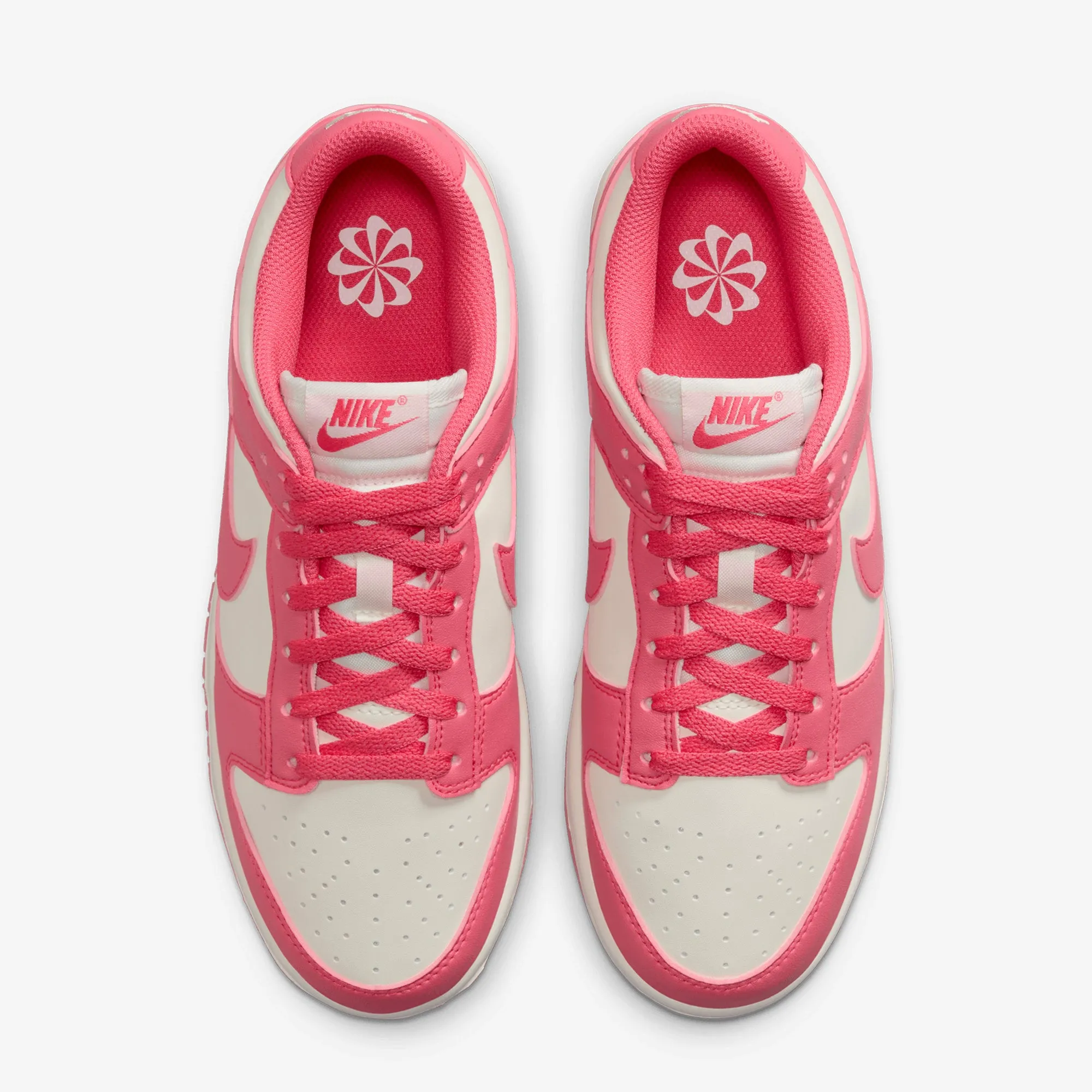 NIKE | DUNK LOW { ASTER PINK/ASTER PINK-SAIL High Energy Fitness Focus