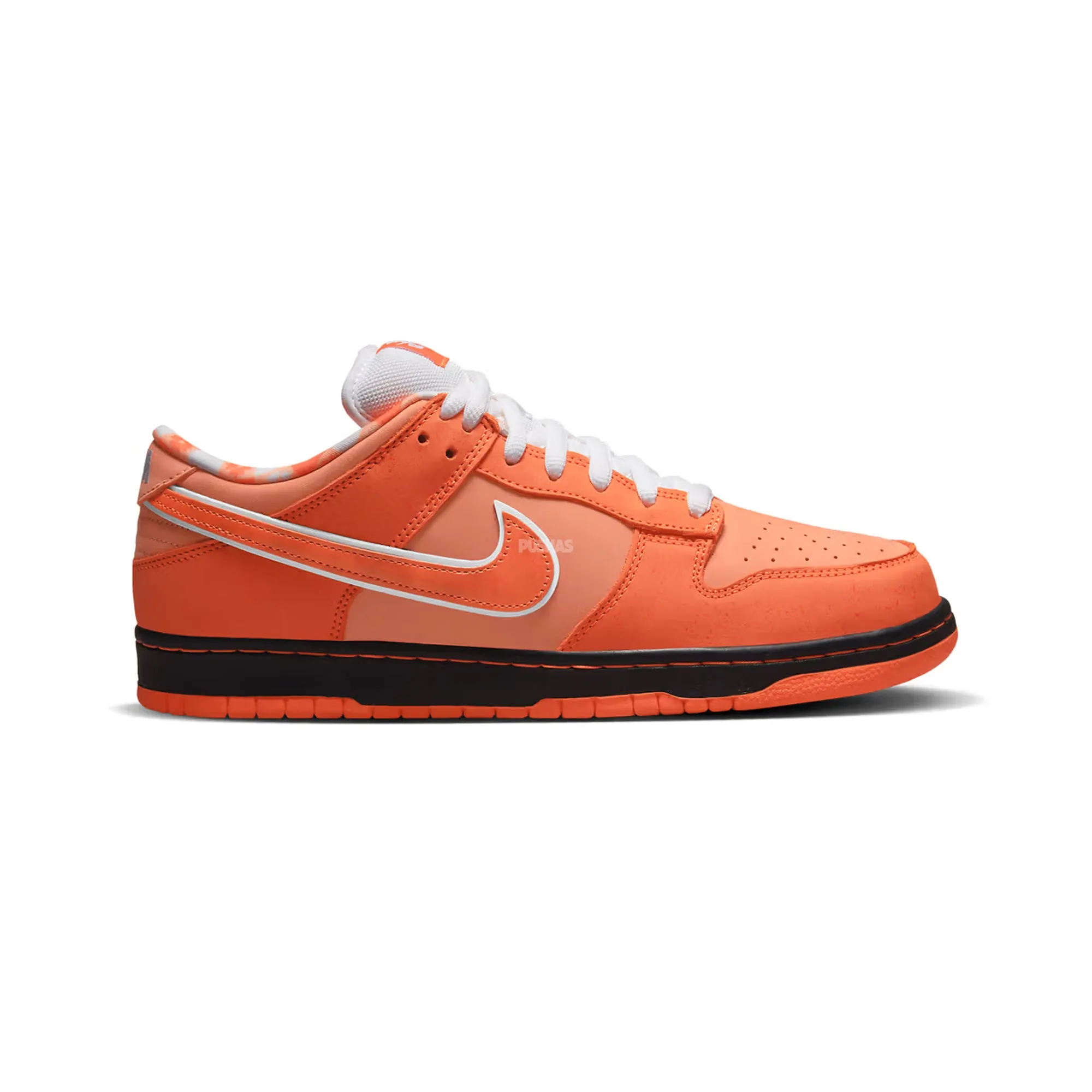 Odor Eliminating Nike SB Dunk Low 'Concepts Orange Lobster' (Special Box) (2022)