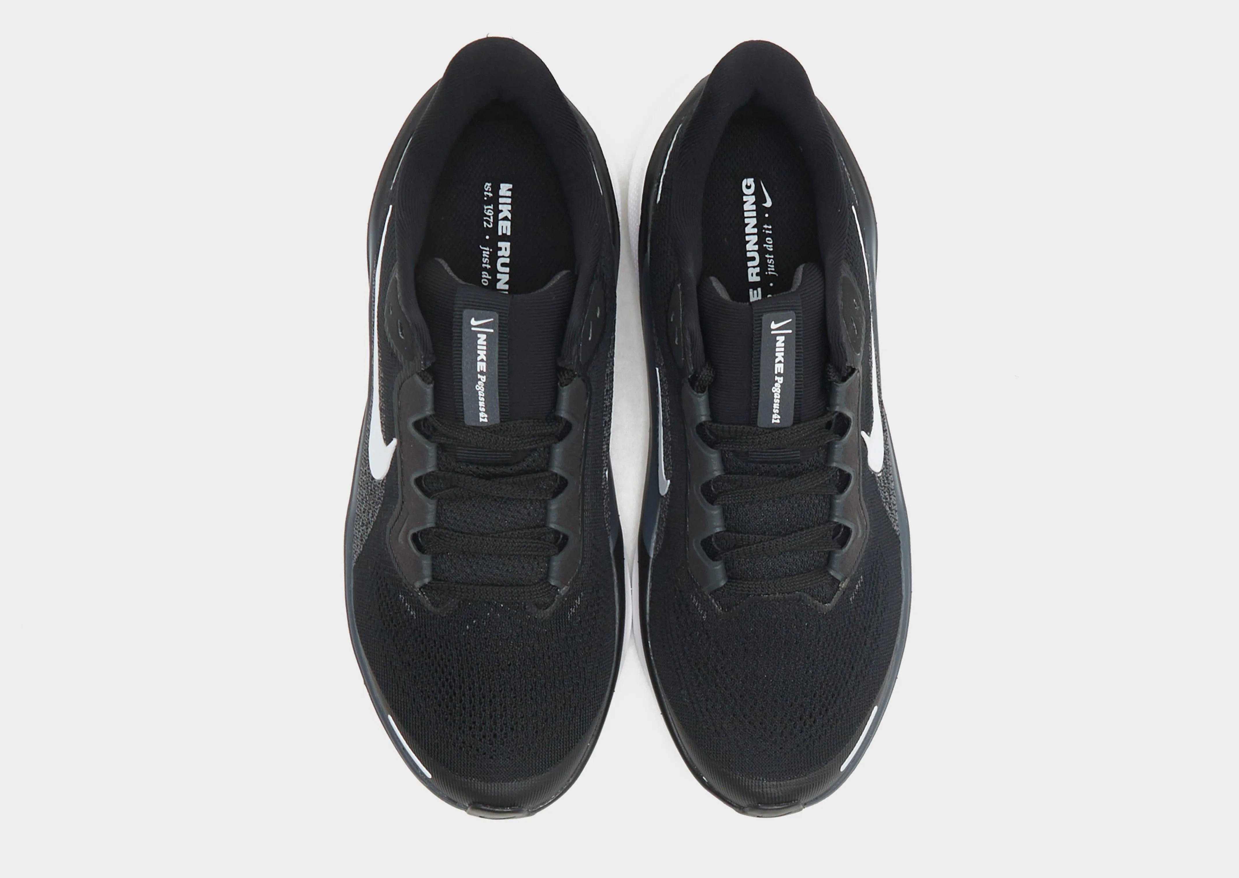 advanced features Pegasus 41 Junior's