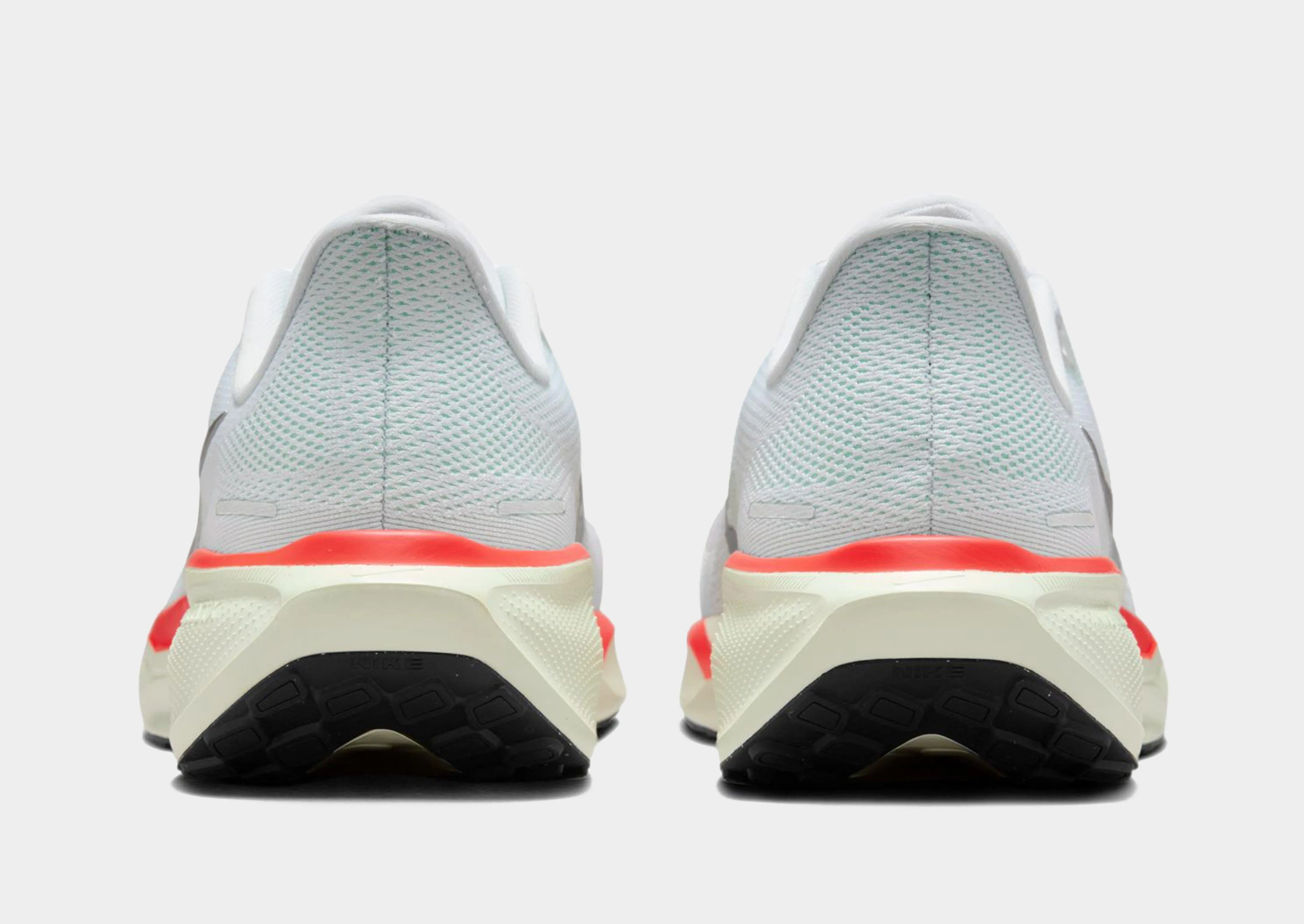 Pegasus 41 gradient