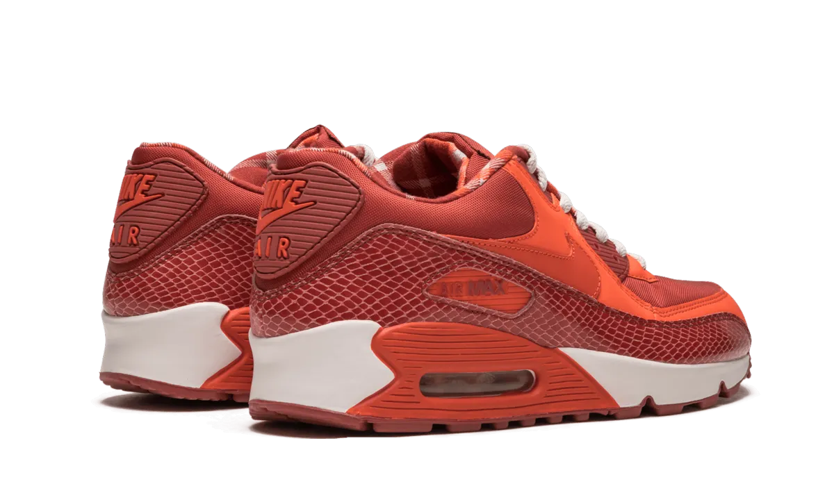 Foot Muscle Air Max 90 QK "STEVE NASH"