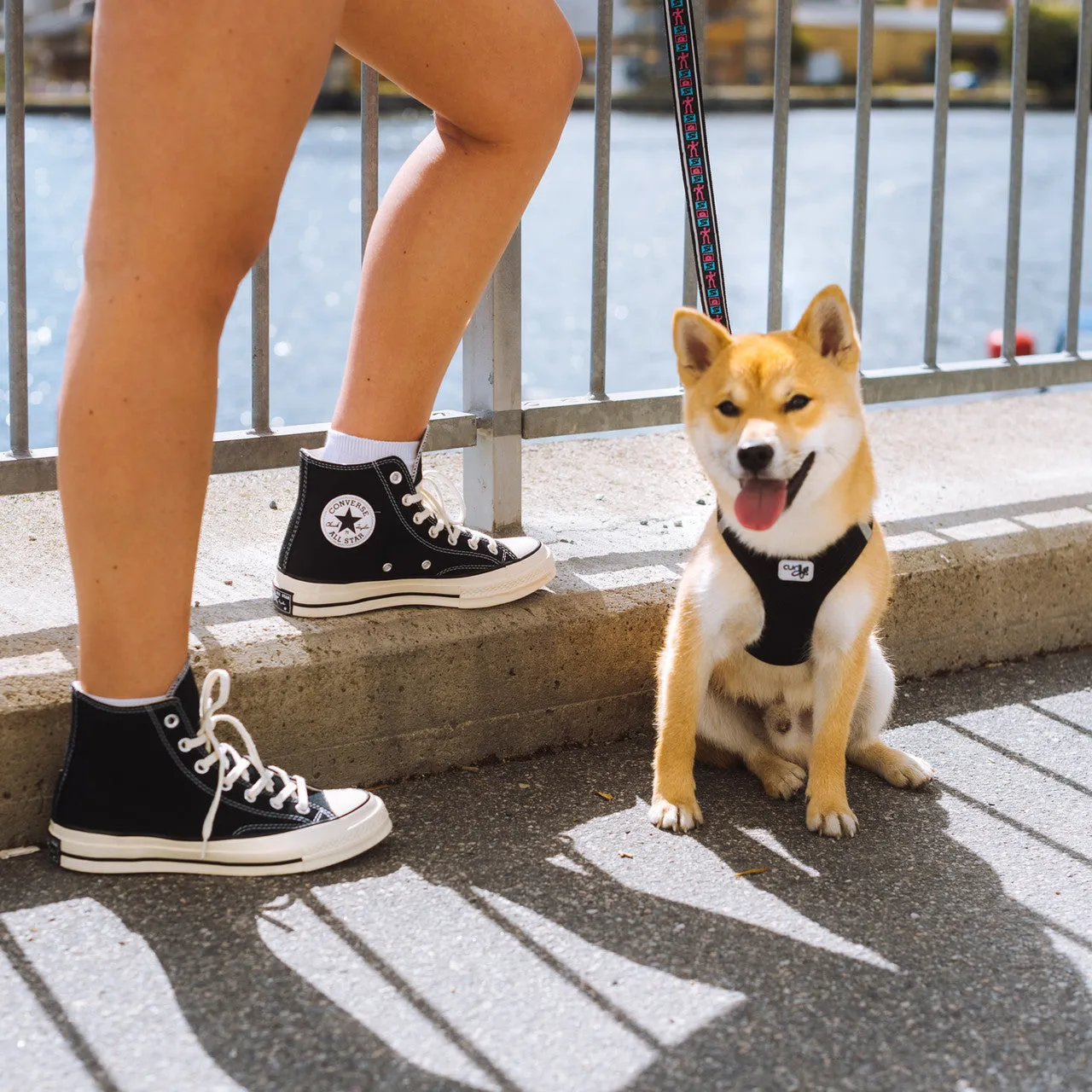Chuck Taylor 70 Hi Motion Control Feature