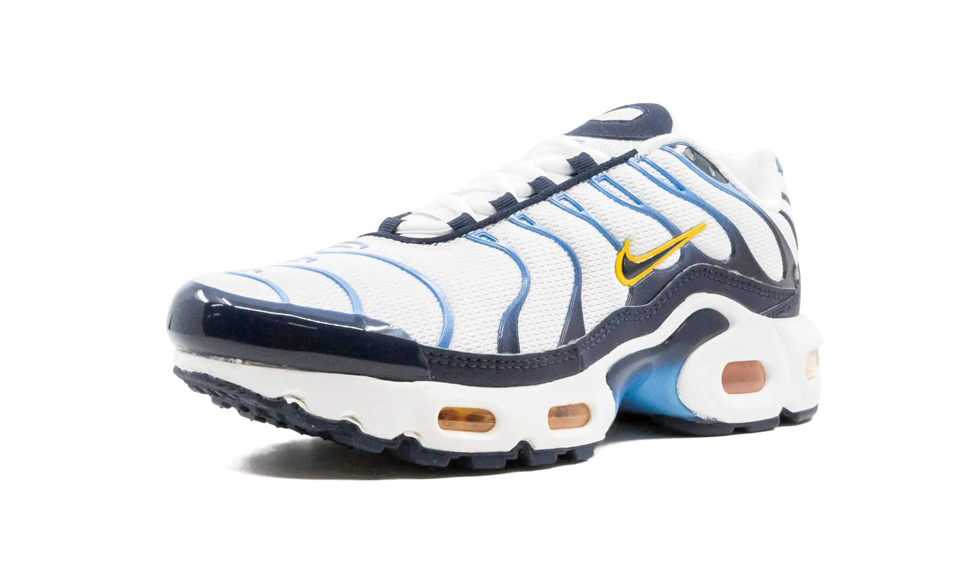 padded - collar running gear sporty - style shoes Air Max Plus