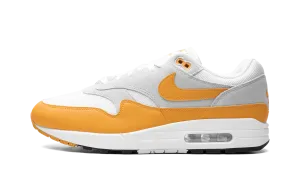 Air Max 1 "Gold" High-performance shoe storage