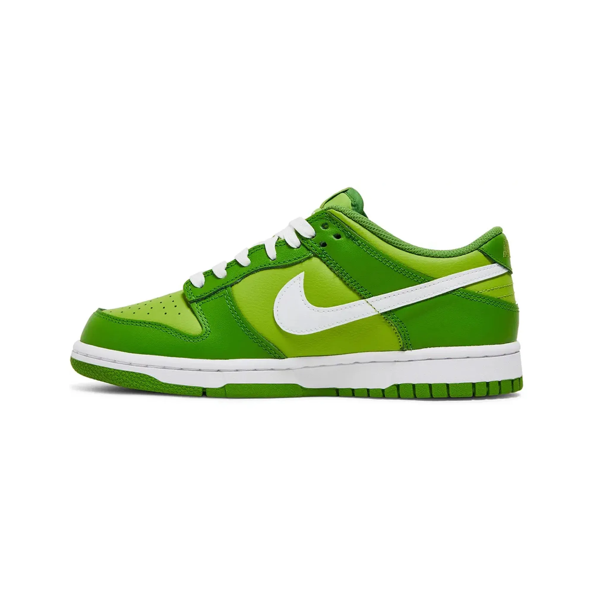 Stretch Wear Nike Dunk Low Chlorophyll GS (2021)