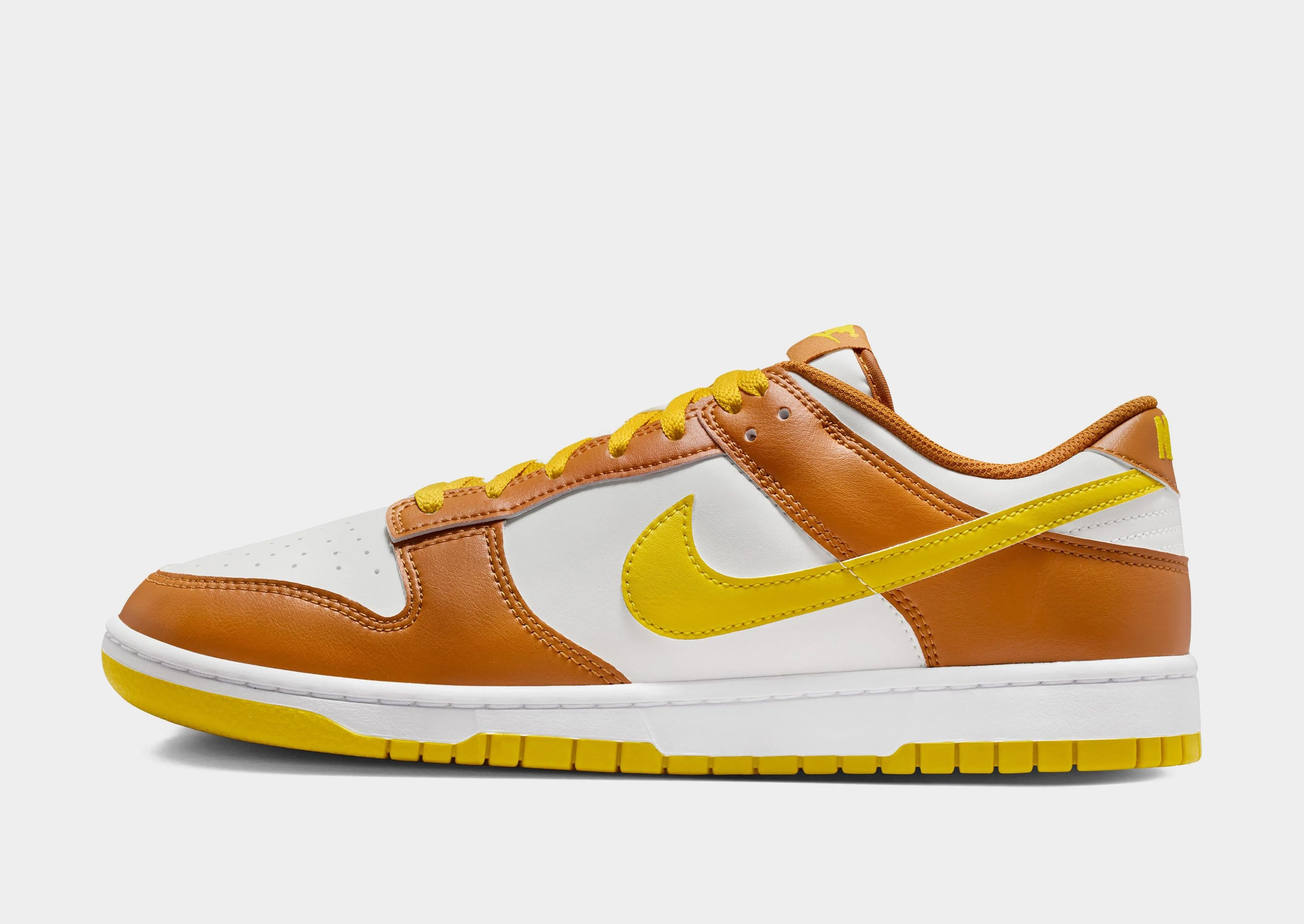 Dunk Low Retro Foot Journey