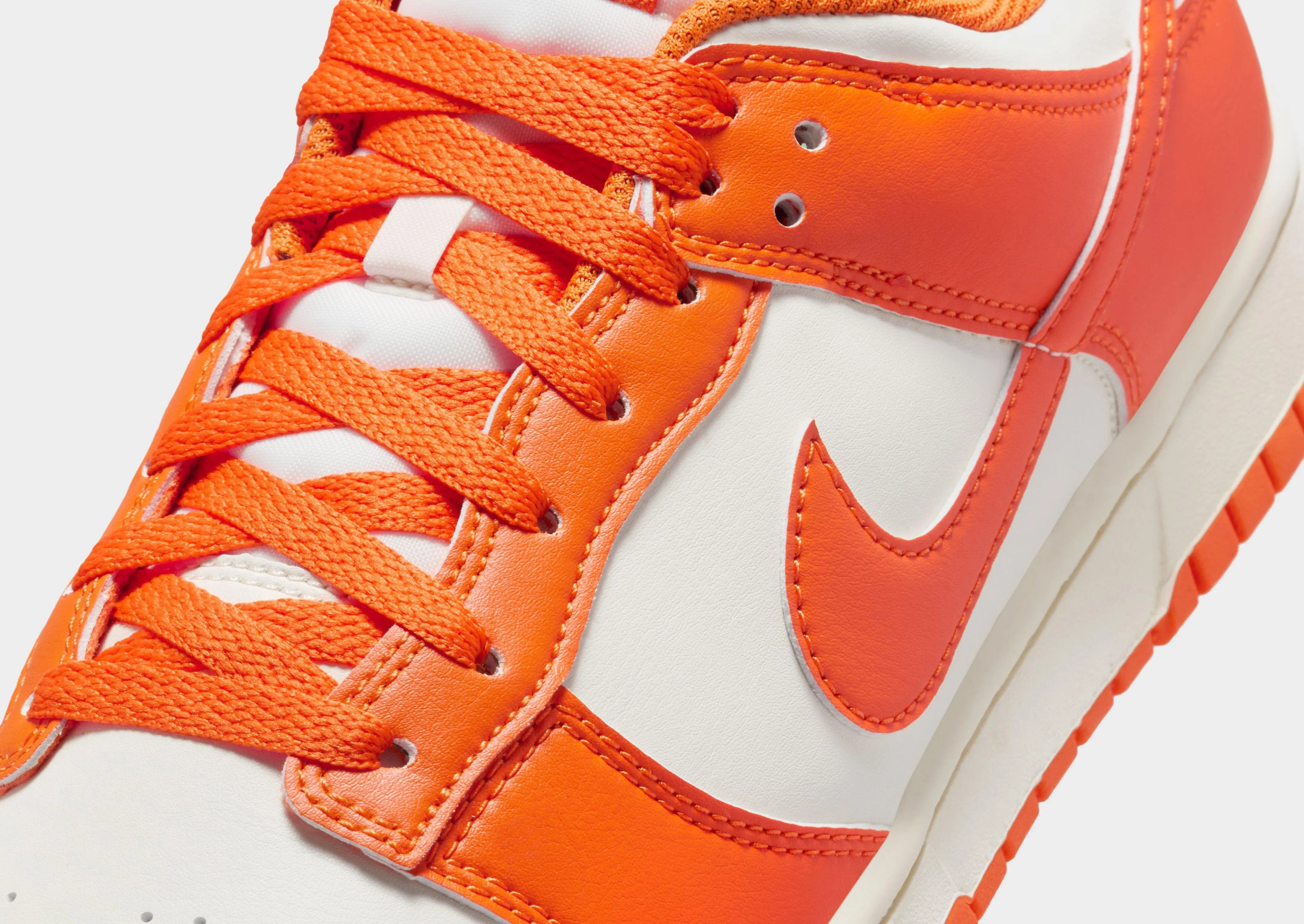 Dunk Low Retro Active Gear